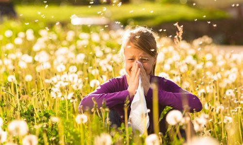 Seasonal-Allergies